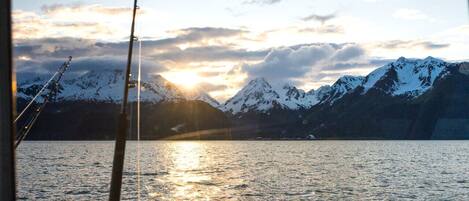 Vista desde la propiedad