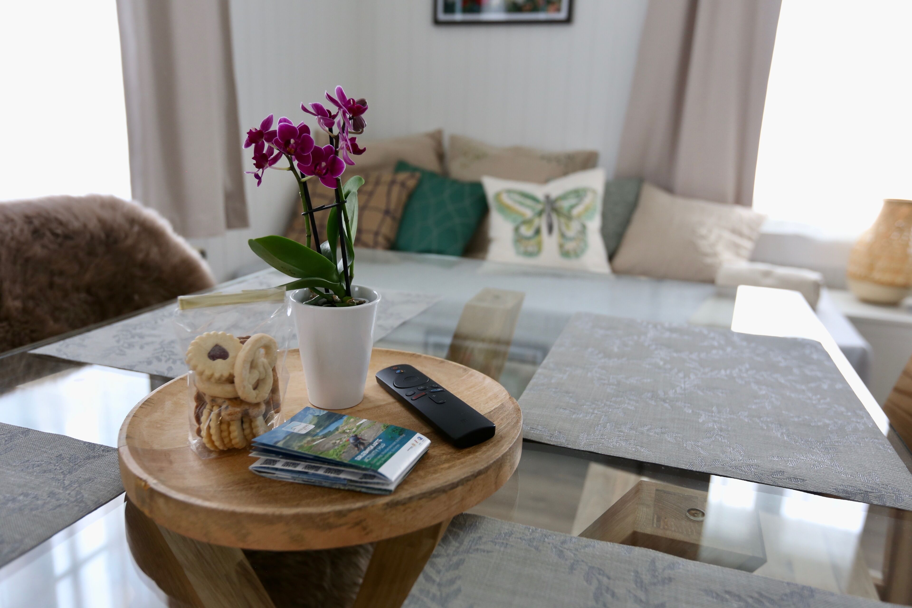 A room with a bed, a bedside table with a remote control, a magazine, and a small plant.