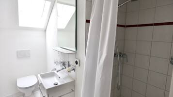 A bathroom with a toilet, sink, mirror, shower, and a skylight.