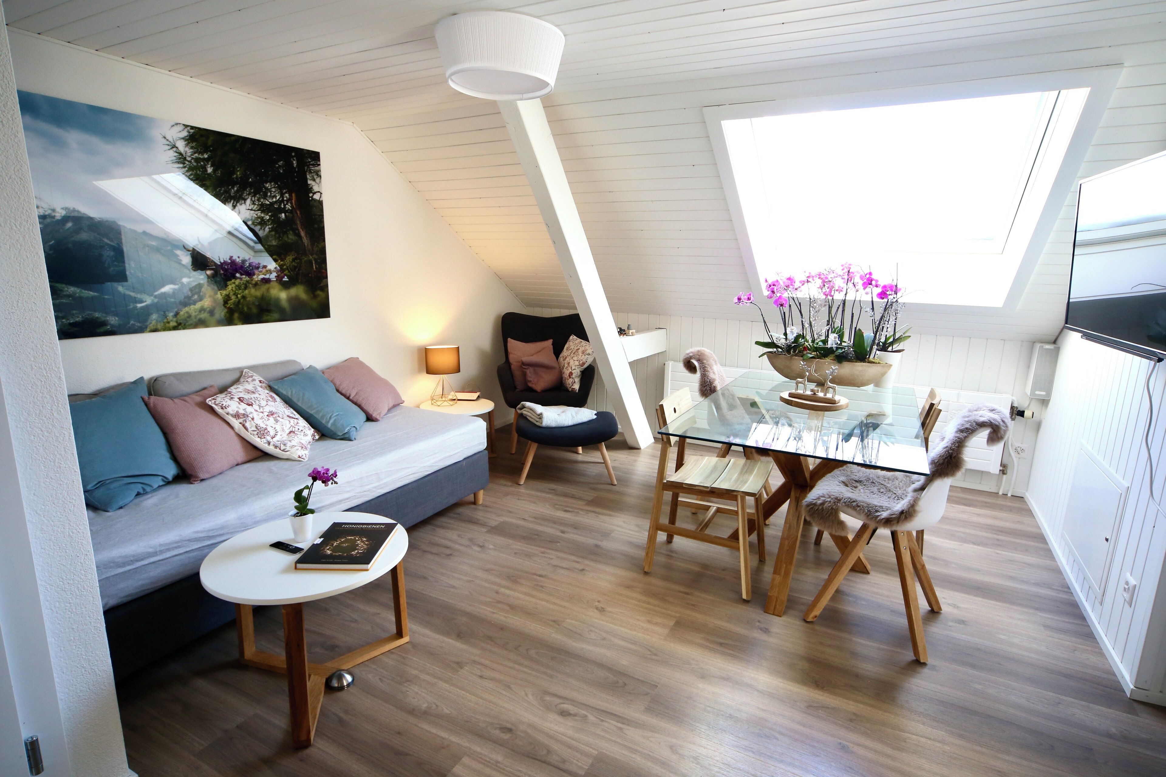 Appartamento Tradizionale, 2 camere da letto | Soggiorno | TV a schermo piatto