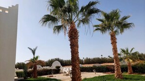 A courtyard with palm trees, a white building, and a clear sky. - Mazar Resort & Spa By Kemet (Sharm El Sheikh)