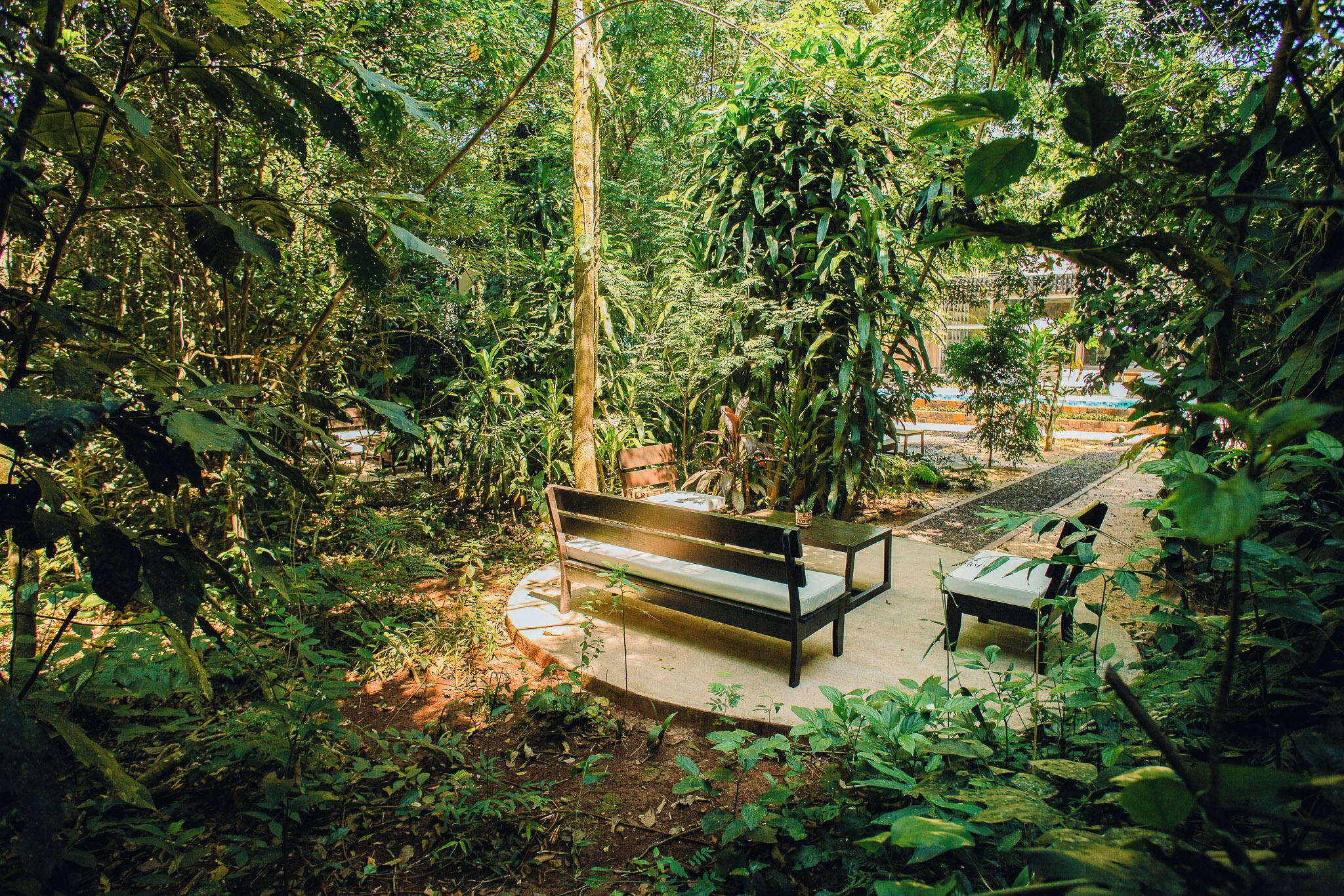 Photo - Miraselva Lodge