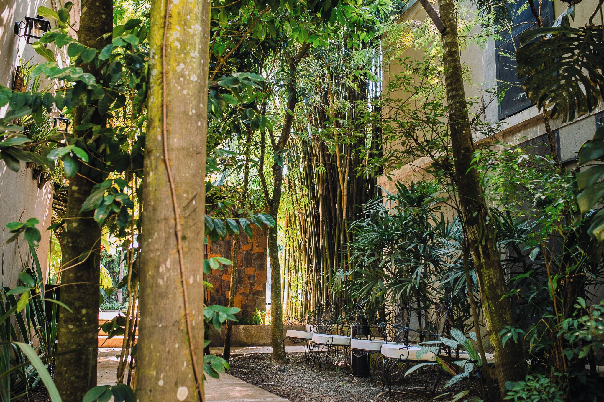 Photo - Miraselva Lodge