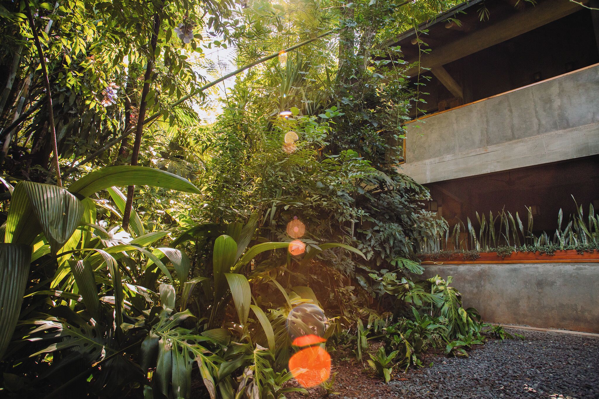 Photo - Miraselva Lodge