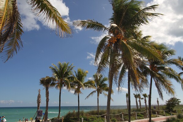 Deluxe Condo | Beach/ocean view - Tropical Suites Inc. (Miami Beach)