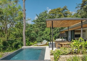 Outdoor pool - Villa Koa: Luxe Hillside Escape with Ocean Views (Santa Teresa de Cobano)