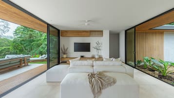 Smart TV, books, stereo