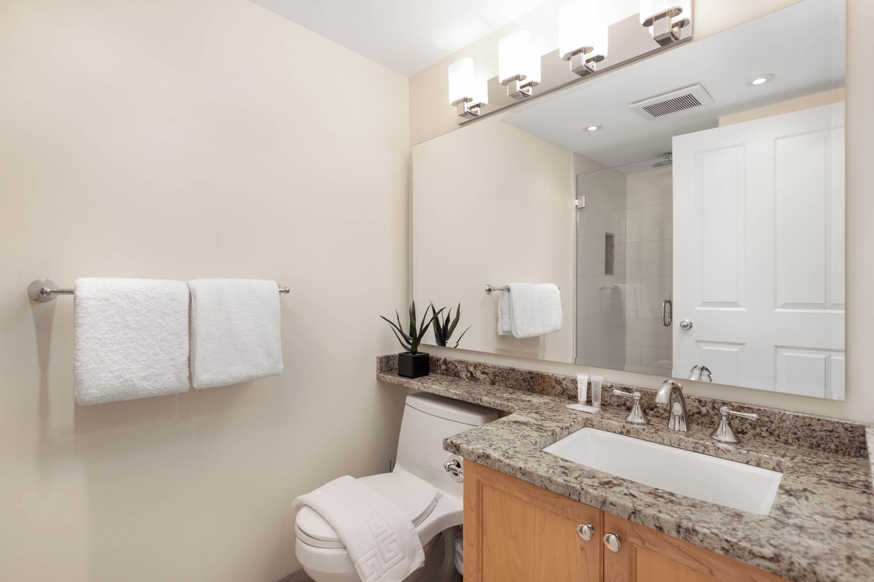 A modern bathroom with a white toilet, a sink with a granite countertop, a mirror with lights, and a potted plant on the vanity.