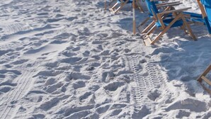 Une rangée de parasols sur une plage de sable.
