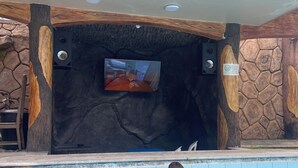 Une piscine avec un mur en pierre et des éléments décoratifs en bois, un écran de télévision et des dauphins dans l’eau.