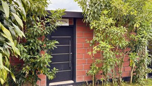 A black door with a sign above it, a brick wall, and greenery around the entrance.
