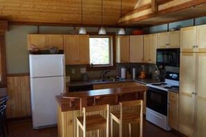 Fridge, microwave, oven, stovetop - 50 Acres Private Cabin Nestled in the Woods (La Pointe)