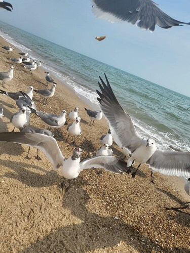 Cute little beach front condo to enjoy, relax, celebrate, and make memories