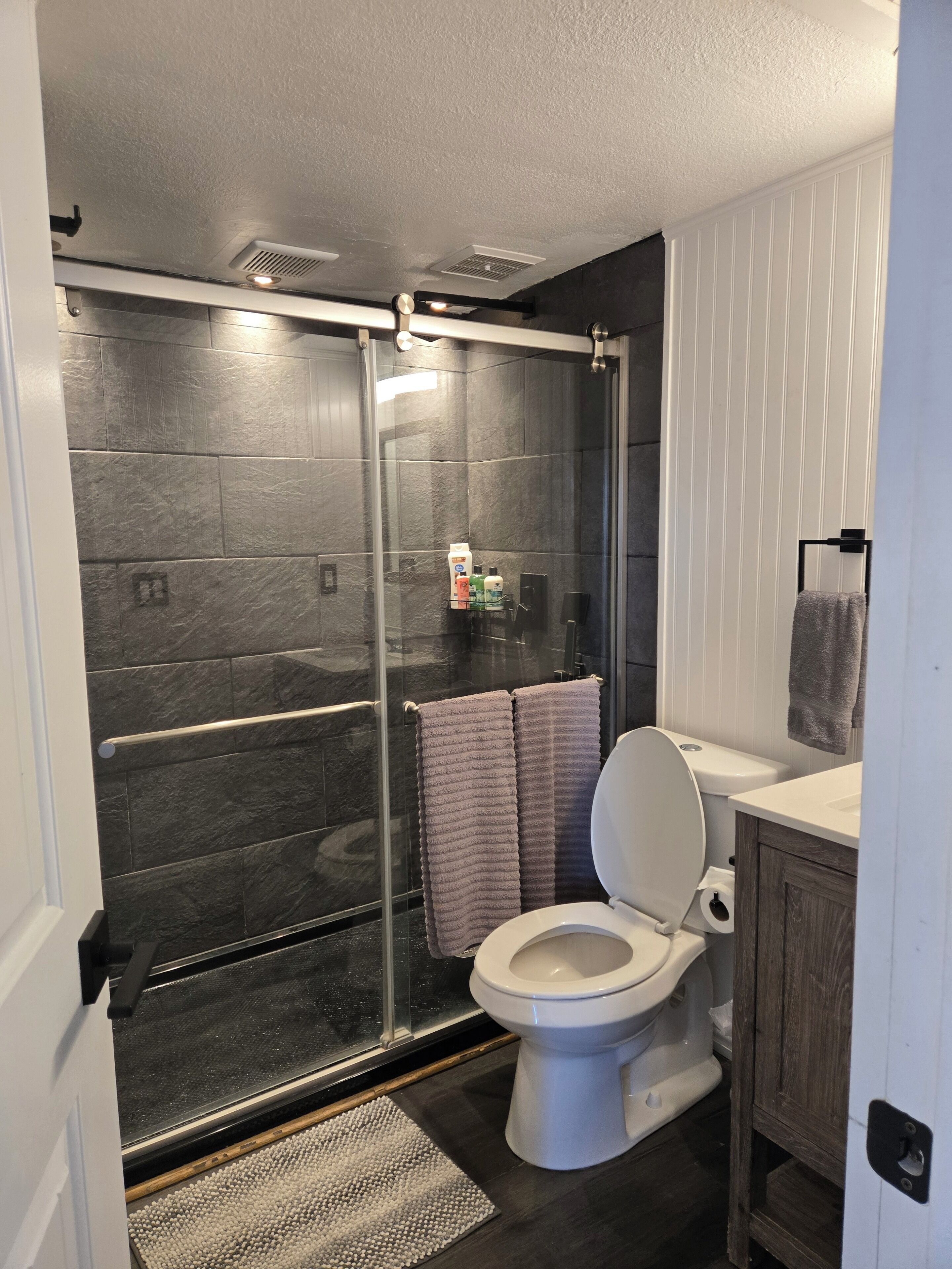 Hair dryer, towels, soap, toilet paper