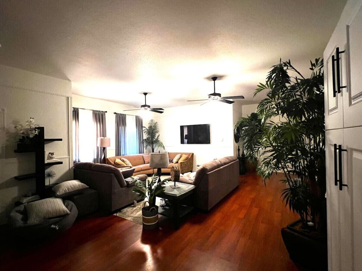 TV, DVD player, books, offices