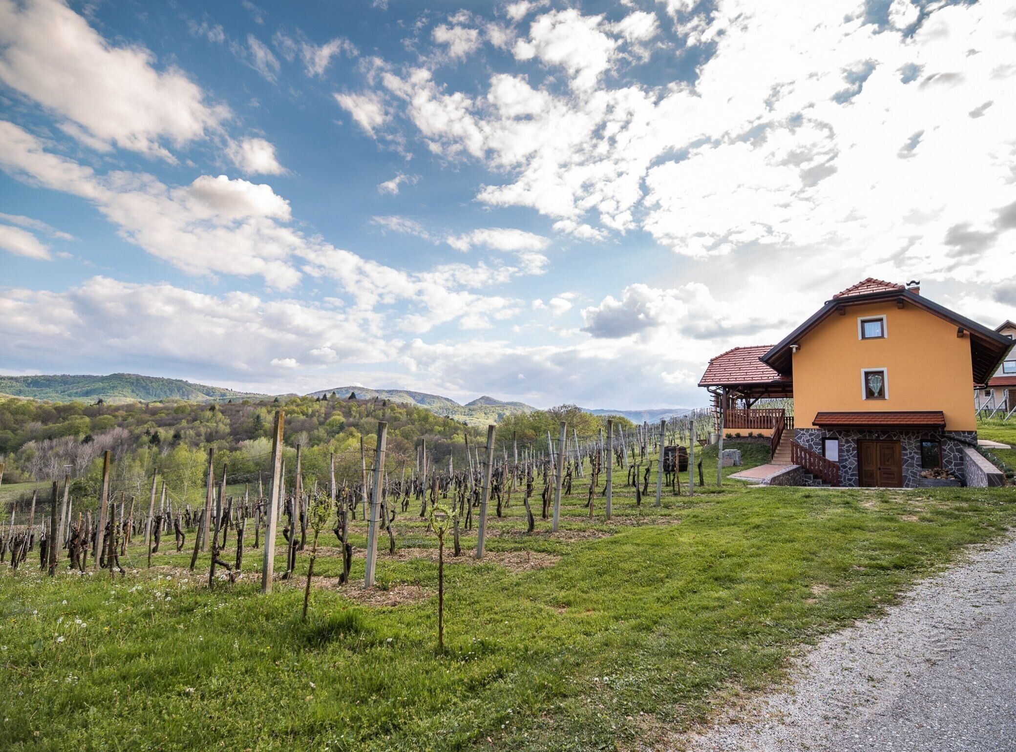 A vineyard with rows of grapevines, a yellow building with a red roof, and a mountainous landscape in the background.