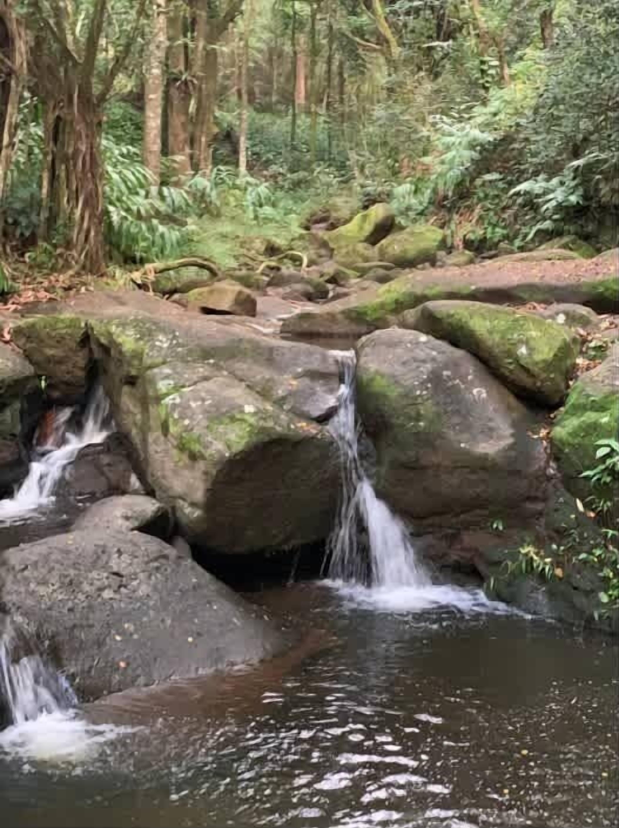 A natural outdoor setting with a small waterfall over rocks, surrounded by dense greenery.