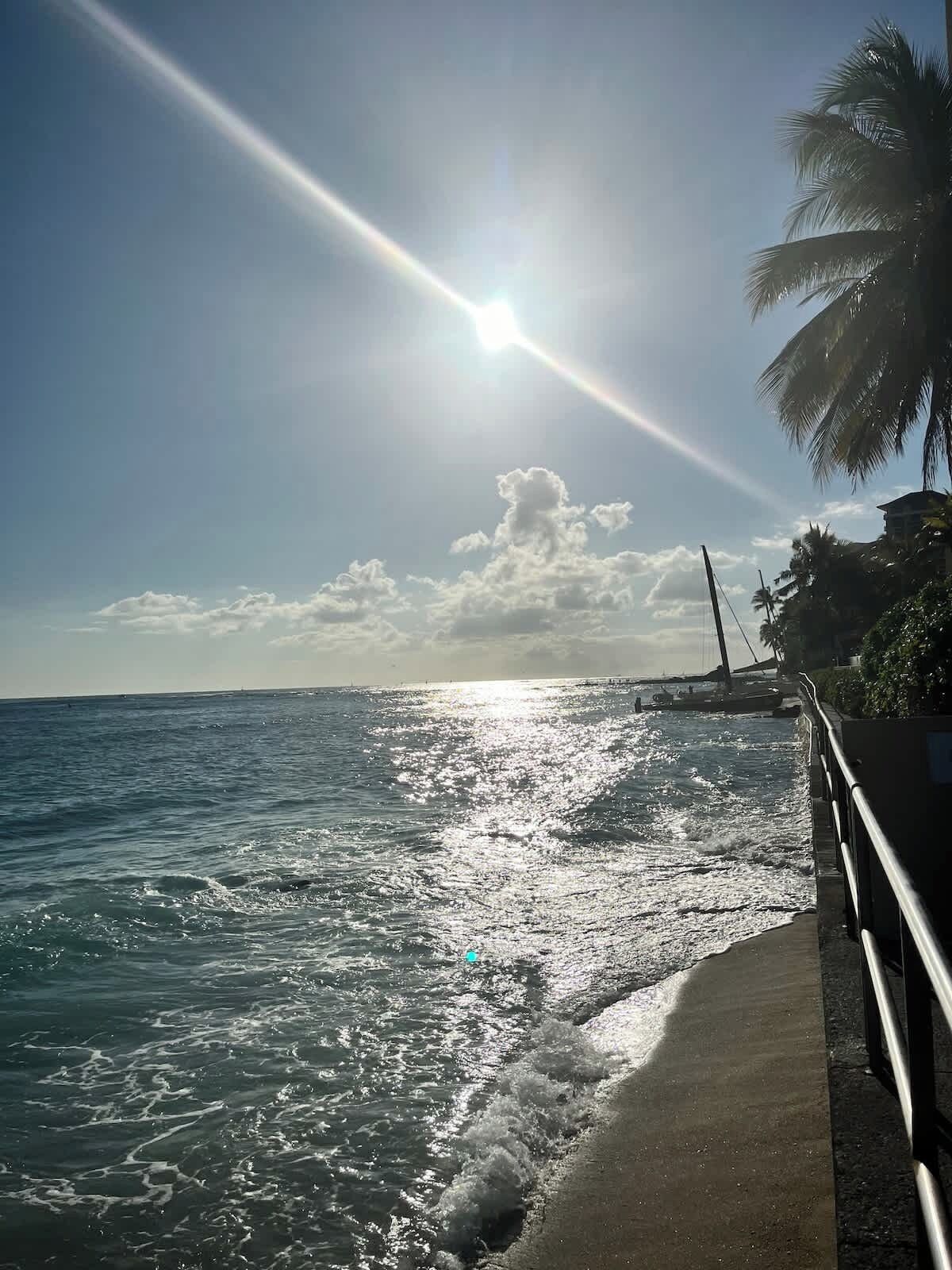 Ein Küstenweg mit Blick auf das Meer und einer Palme.