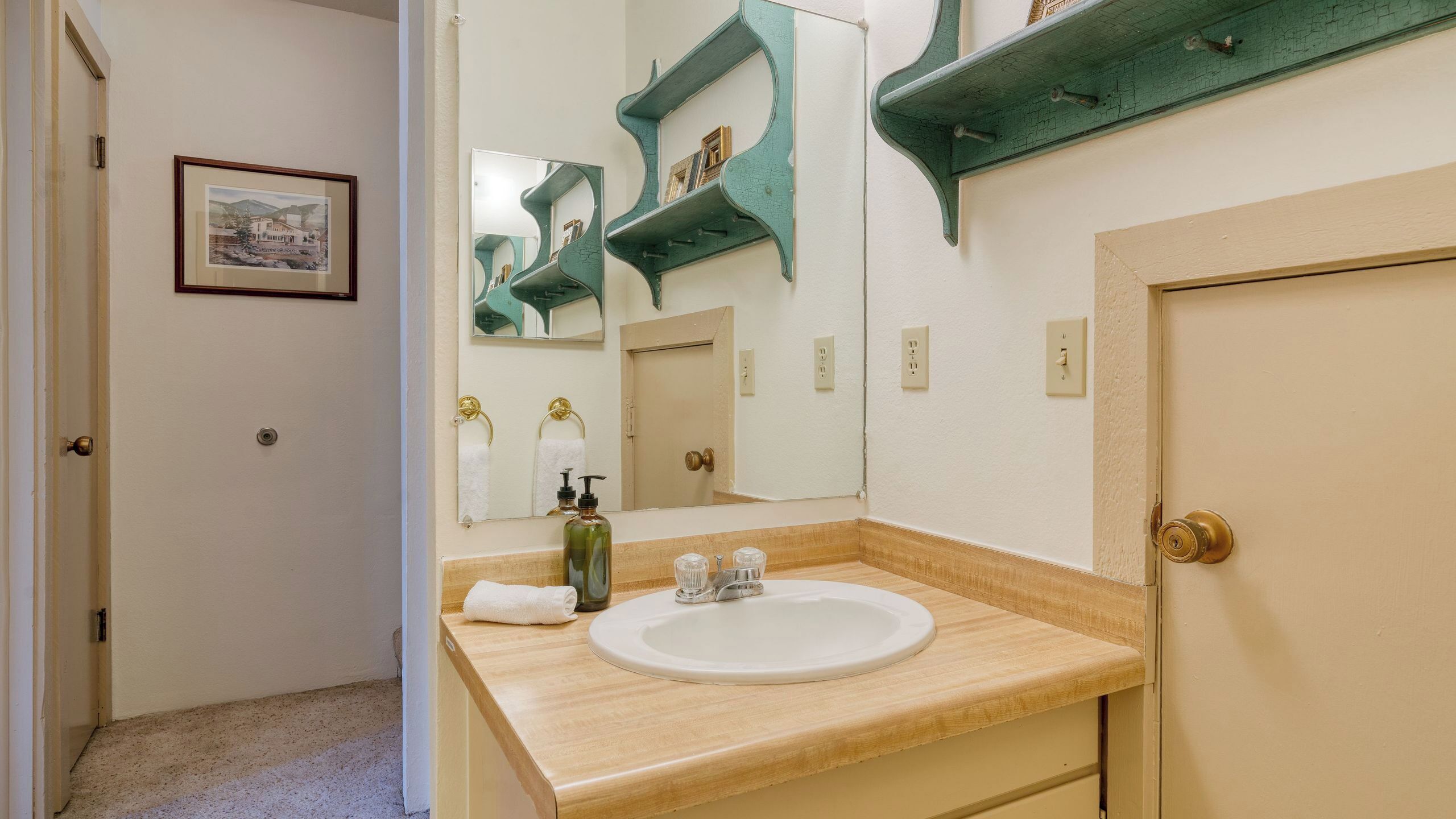 Une salle de bain avec un meuble-lavabo en bois, un lavabo blanc, un miroir et une étagère verte au-dessus du miroir.