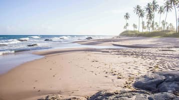 Playa en los alrededores