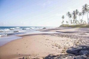 بالقرب من الشاطئ