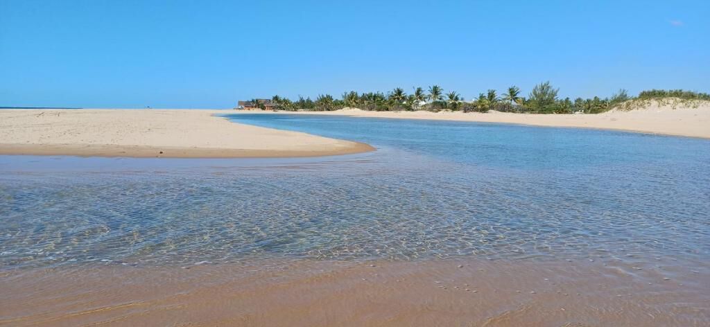 Ein Strand mit klarem Wasser, sandigem Ufer und Palmen im Hintergrund.