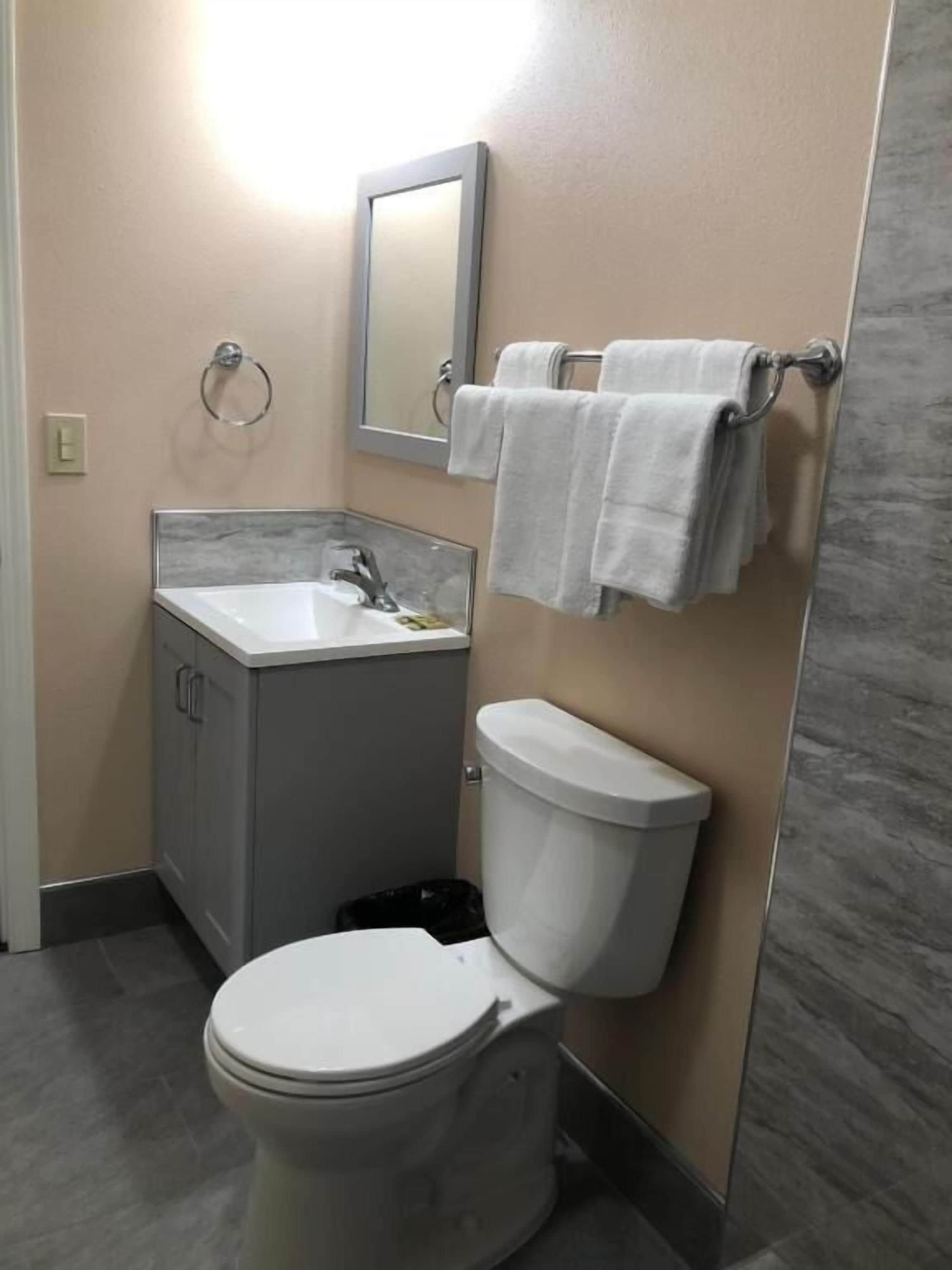 A compact bathroom with a toilet, sink, and mirror.