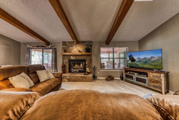 Smart TV, fireplace, books