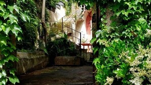 A stone staircase surrounded by lush greenery and ivy. - The Sicilian (Acireale)