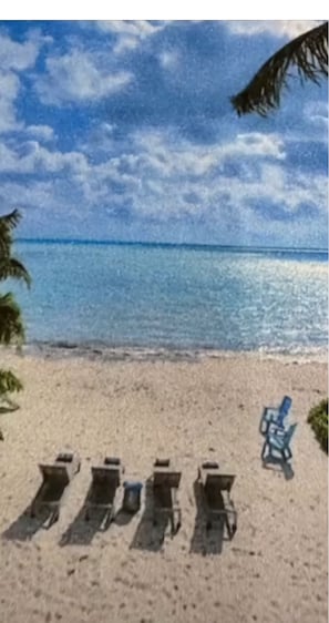 Sun-loungers, beach towels - Beautiful ocean front private beach 2-bedroom house gorgeous views Isla morada (Islamorada)