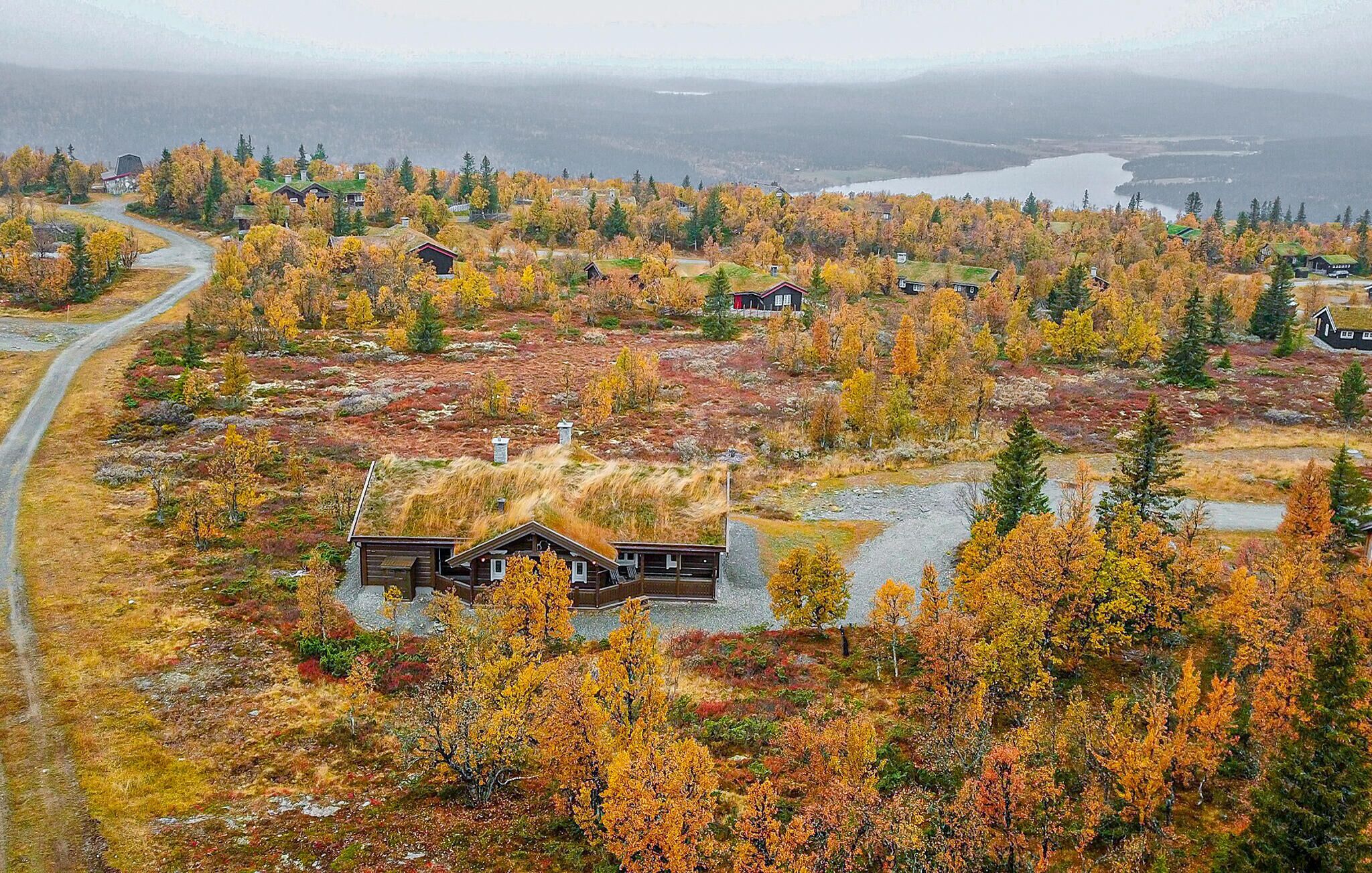 Eine abgelegene Holzhütte, umgeben von Herbstlaub, mit Blick auf einen See und einer kurvenreichen Straße.