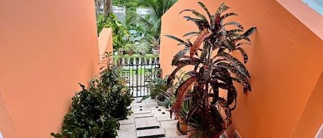 Terrein van de accommodatie