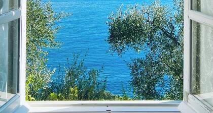 Gorgeous Villa Zoagli