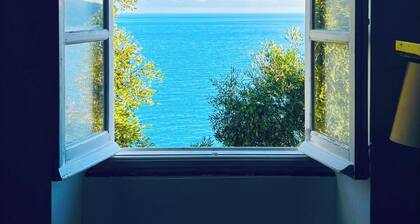 Gorgeous Villa Zoagli