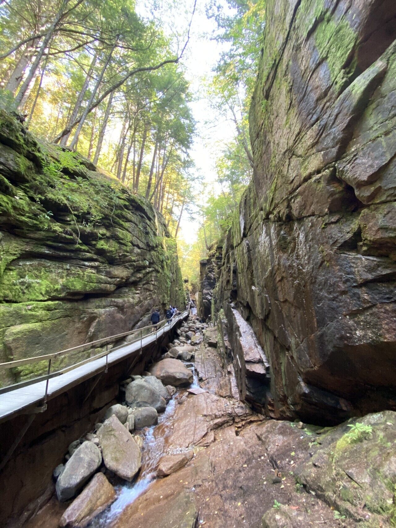 A narrow canyon with a wooden walkway, rocky walls, and a stream.