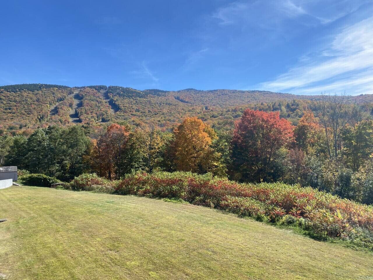 A grassy area with a view of a forested hillside.