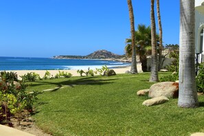 On the beach, sun-loungers, beach towels - Surf and Chill: Beachfront 2-bed condo with pools, gym, steps to surf breaks (San José del Cabo)
