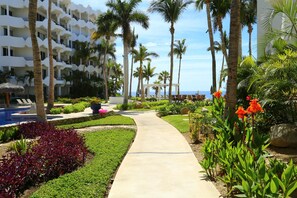 Property grounds - Surf and Chill: Beachfront 2-bed condo with pools, gym, steps to surf breaks (San José del Cabo)