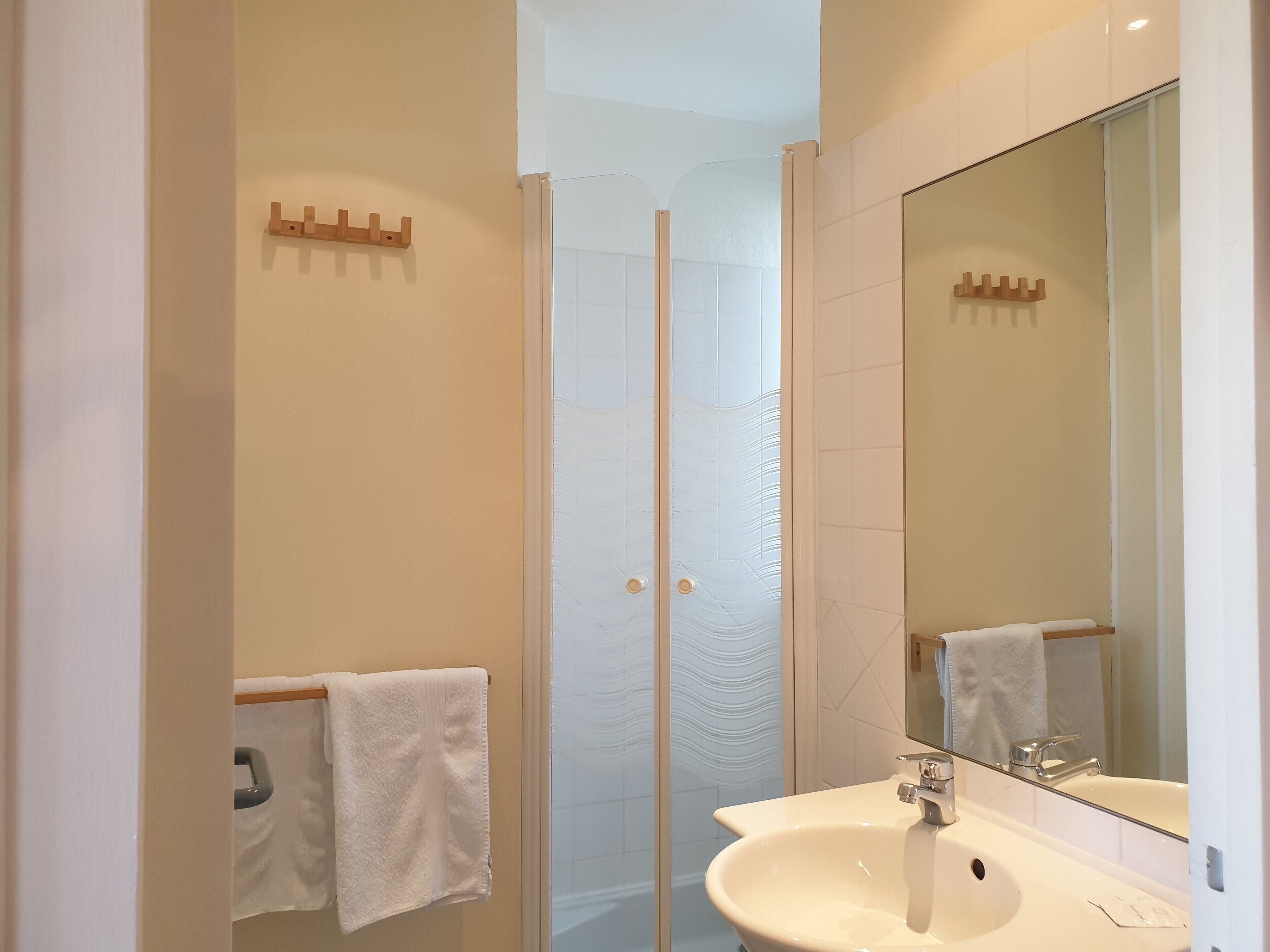 A modern bathroom with a glass shower door, a white sink, and a large mirror.
