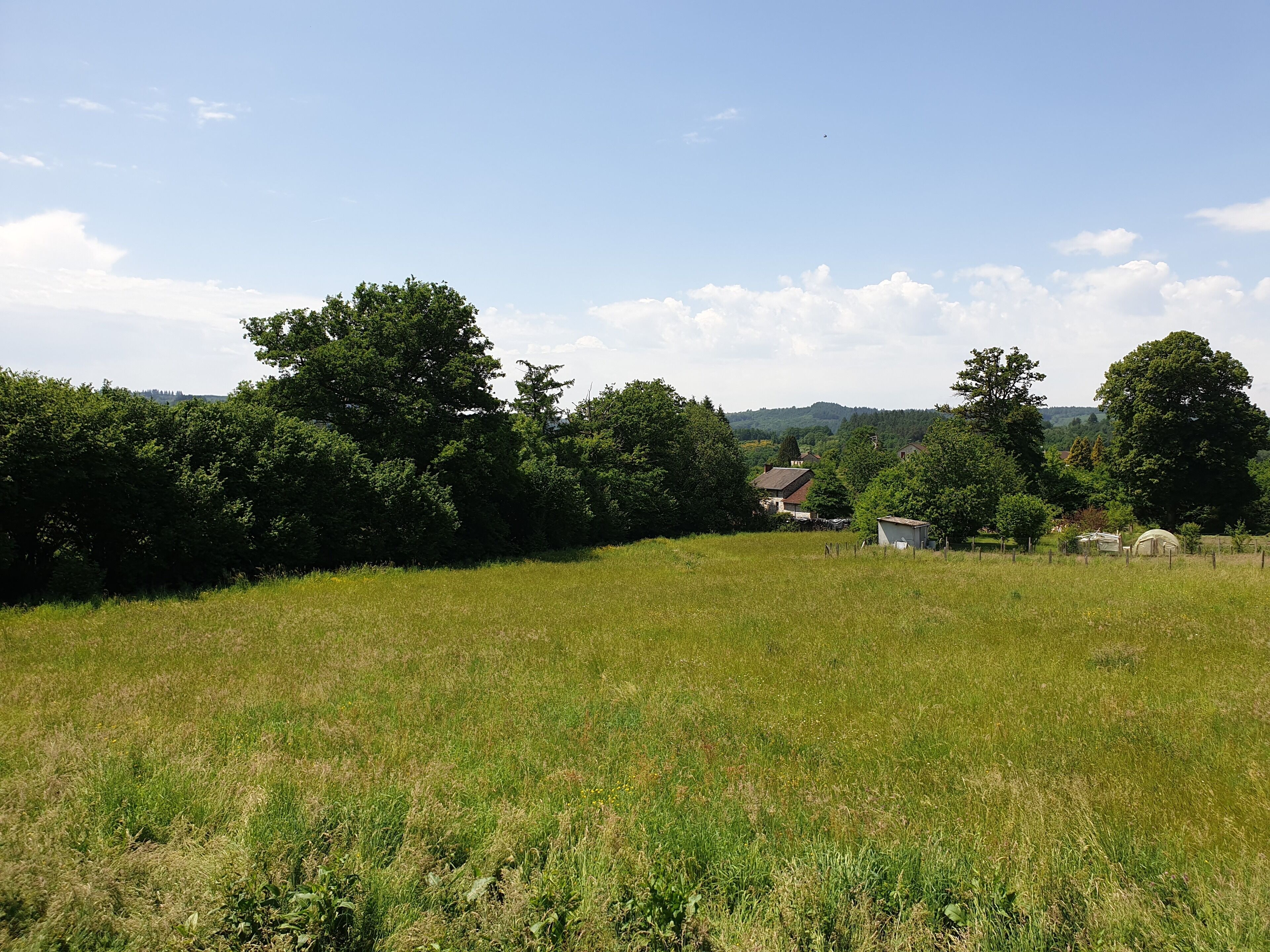 A rural landscape with a field, trees, and a small house.