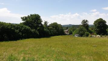 A rural landscape with a field, trees, and a small house.