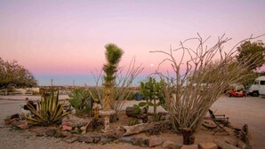 Un jardín desértico con diversos cactus y suculentas, un pequeño bebedero para pájaros y un banco de madera.