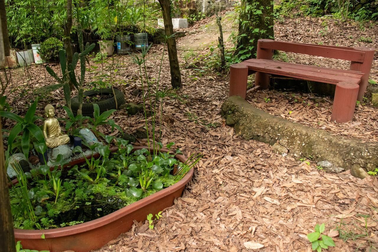 Ein Garten mit einer hölzernen Bank, einer Buddha-Statue und verschiedenen Pflanzen.