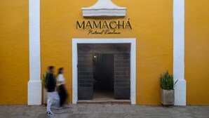 Une entrée d'immeuble avec une enseigne indiquant « MAMACHÁ, résilience naturelle », et deux plantes en pot de chaque côté.