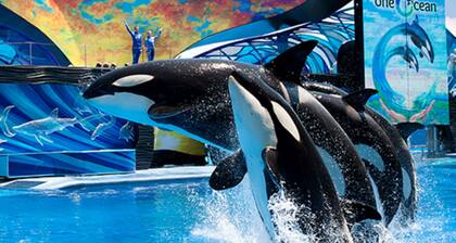 First Floor Family Disney Universal Orlando