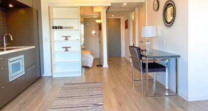 155 Yorkville Apartment