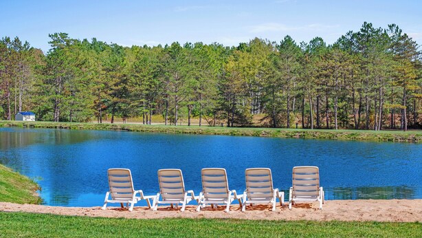 A lakeside view with five lounge chairs facing the water, surrounded by a grassy area and a forest in the background.