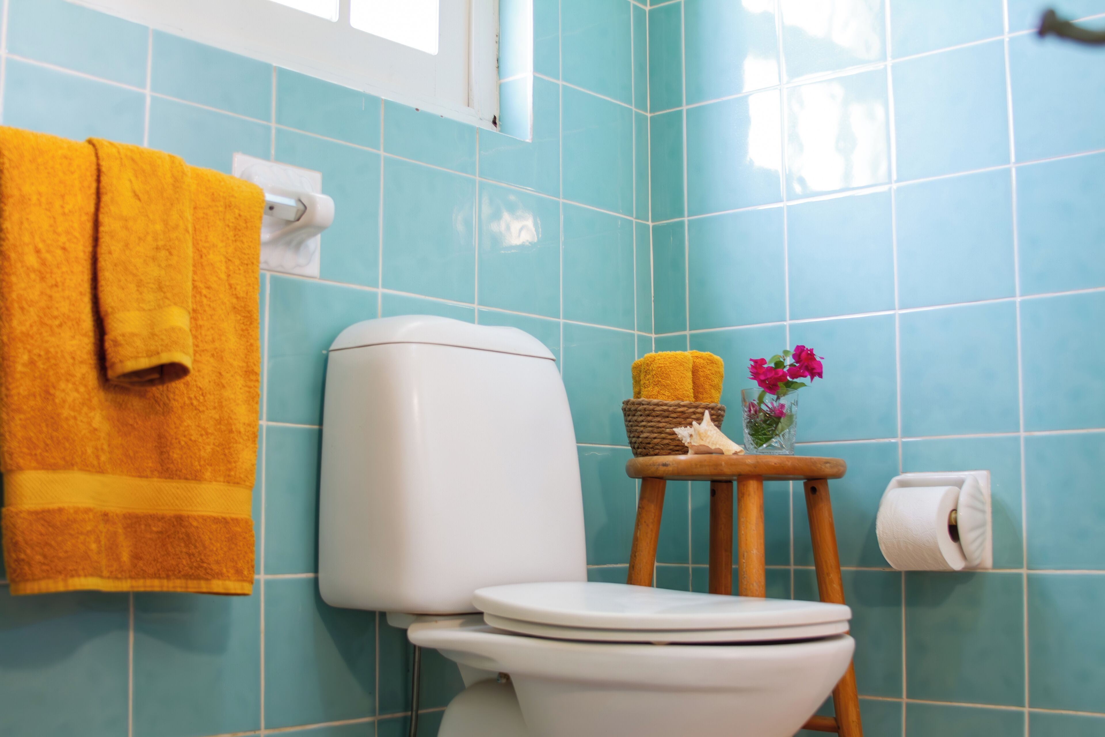 Foto - Landhuis Francia