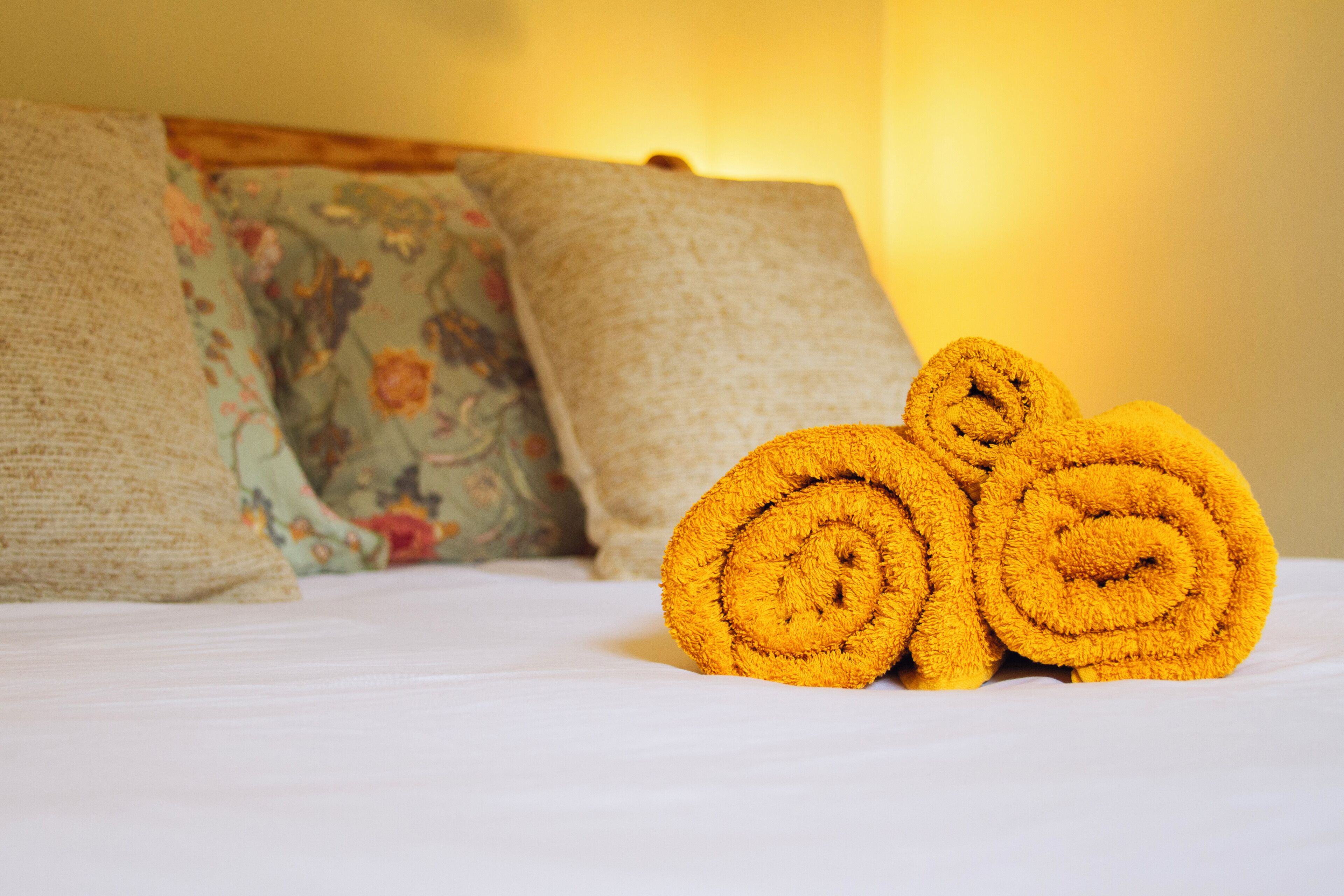 Foto - Landhuis Francia