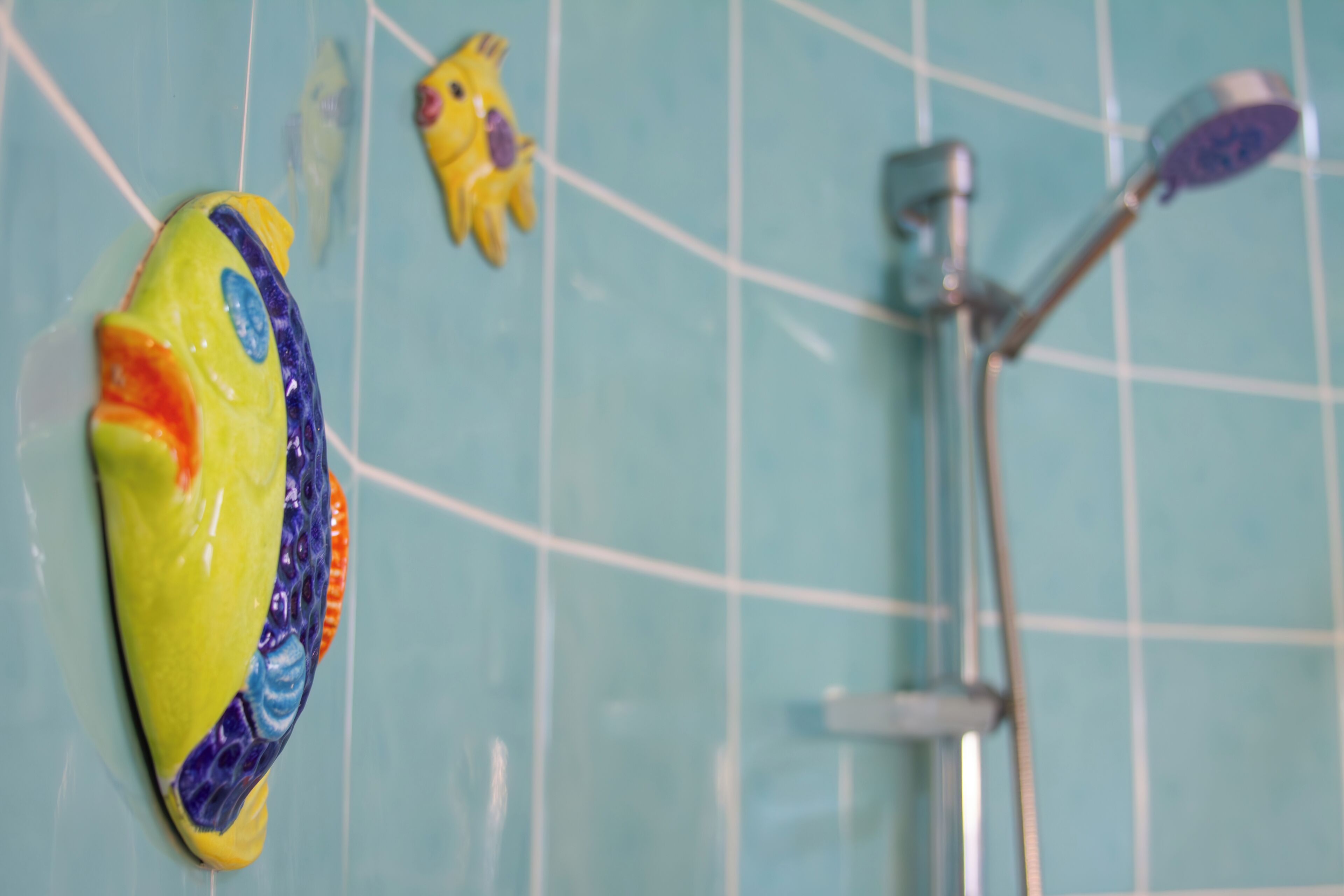 Foto - Landhuis Francia